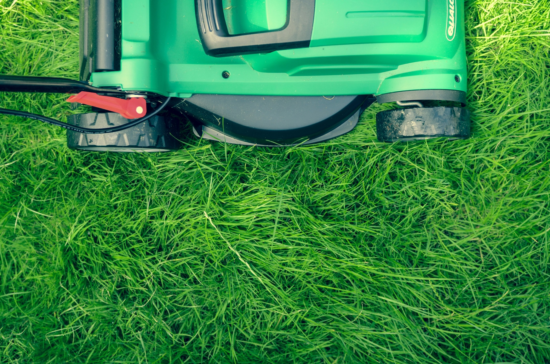 Close-up of a freshly cut, healthy green Toronto lawn